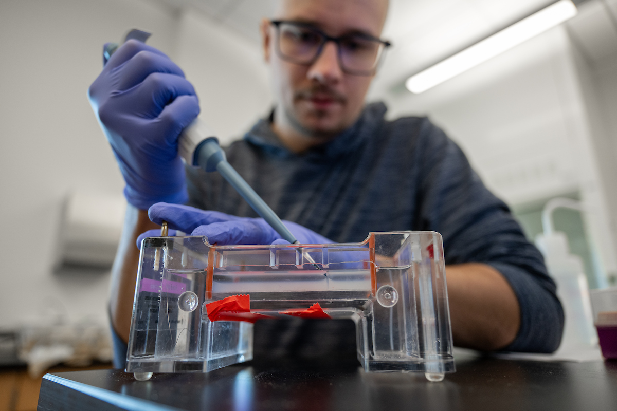 Student performing biology experiment