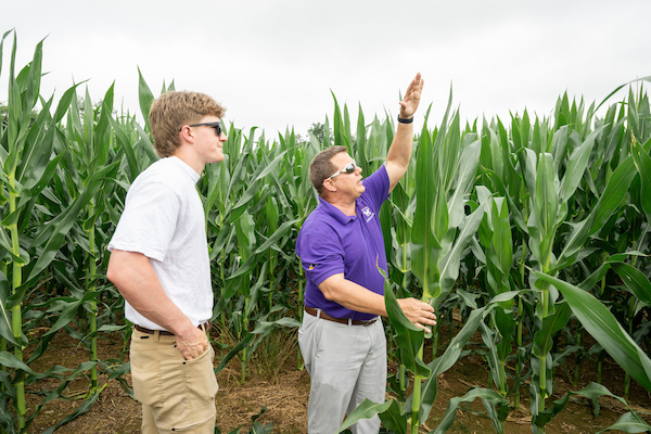 Student and instructor examine corn plants during a hands-on agronomy field lesson.