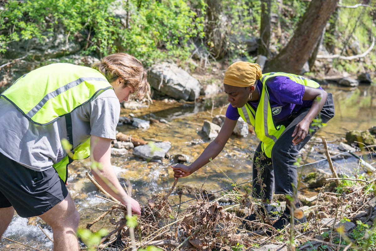 Students conduct water research along a stream during a field-based environmental study.
