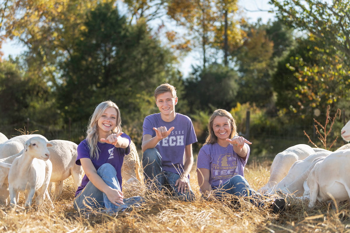 Three Tennessee Tech agriculture students sit among sheep at the Tech Farm during a student photo session.