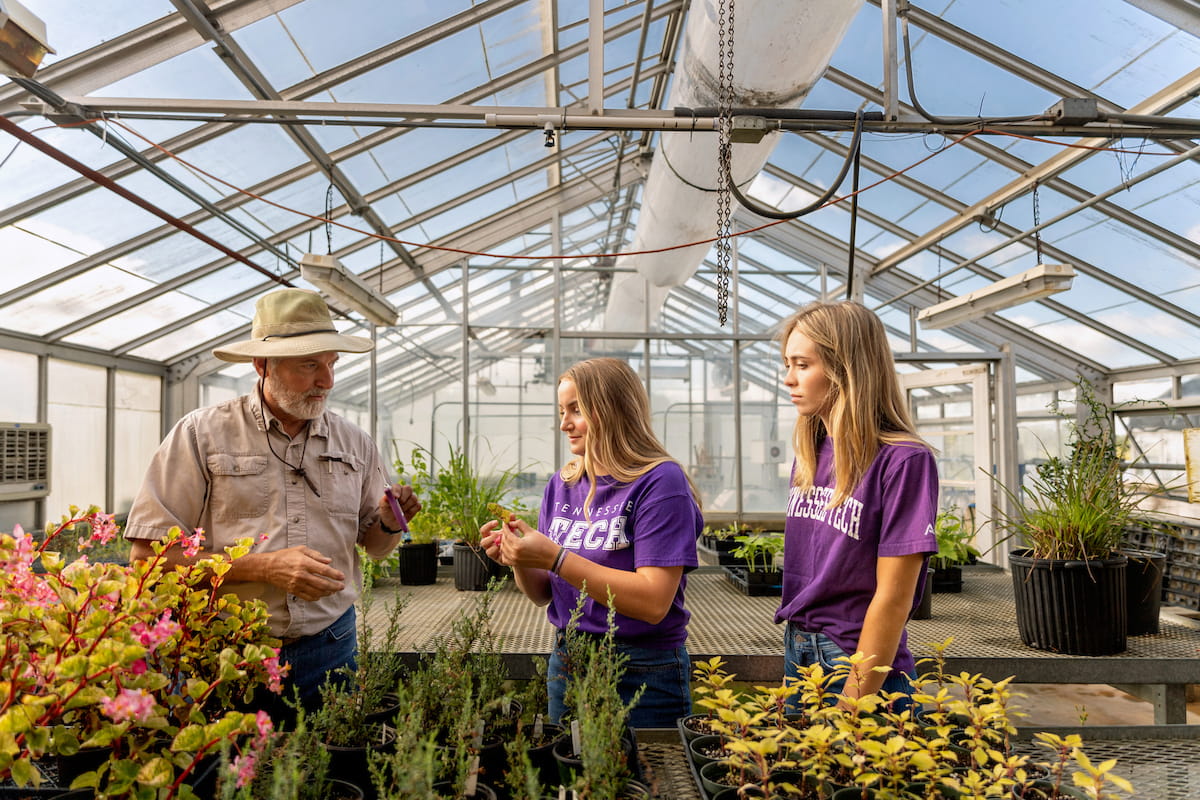 Horticulture students examine plants with an instructor during a hands-on greenhouse learning activity.