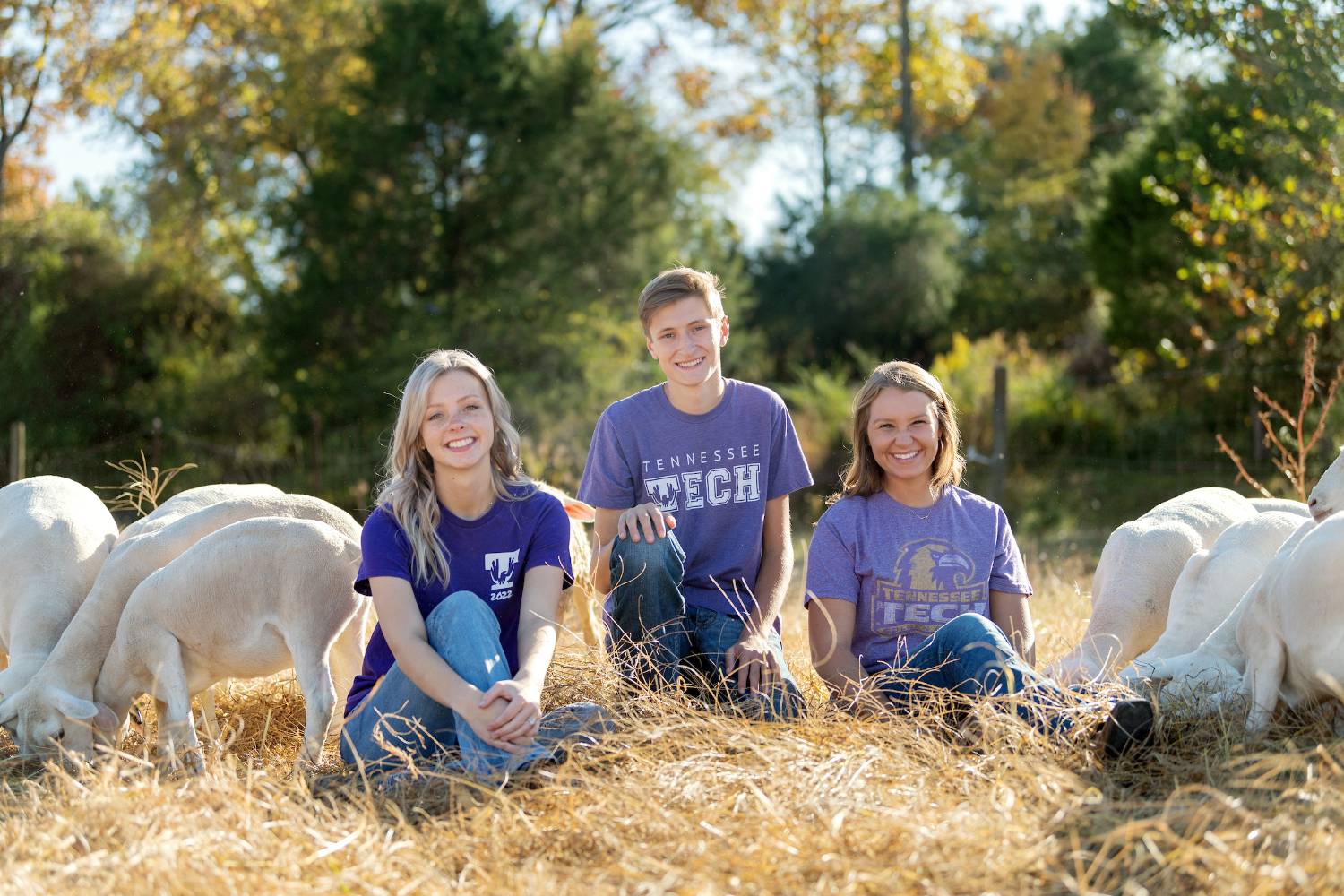 3 students sitting in a field at Hyder-Burks farm smiling for the camera