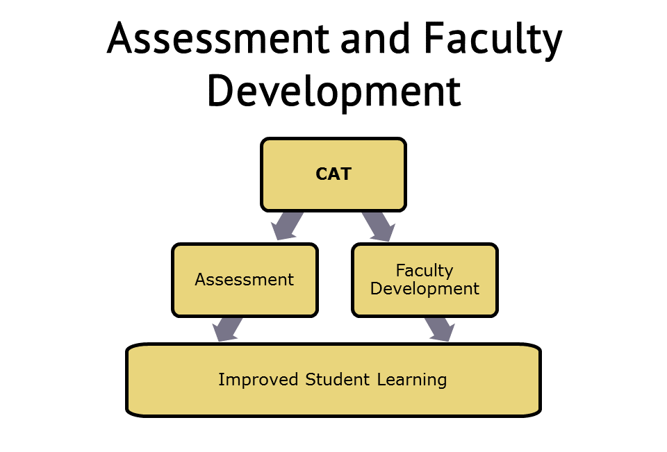 CAT Assessment diagram