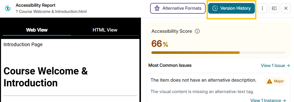Version History Button Selected on top of the Accessibility Report