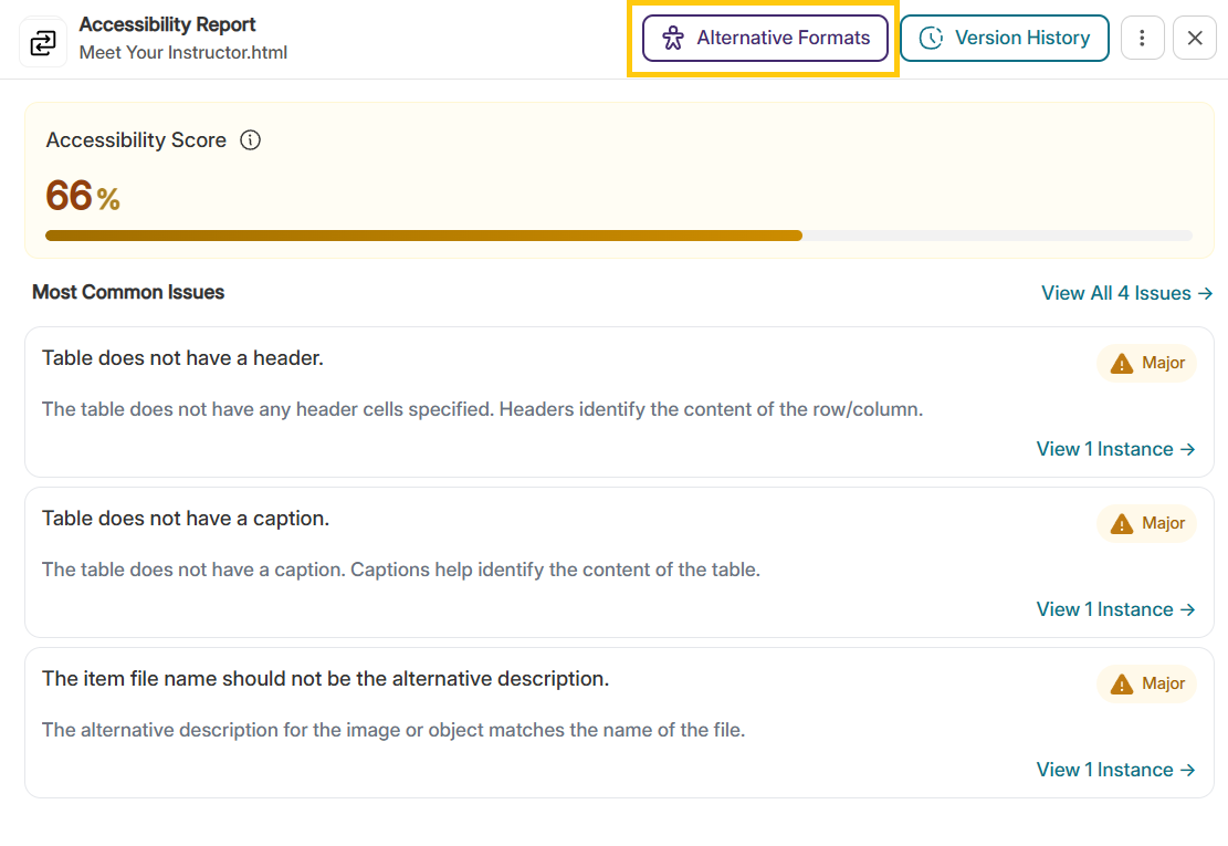 Alternative Formats Button Selected on top of the Accessibility Report