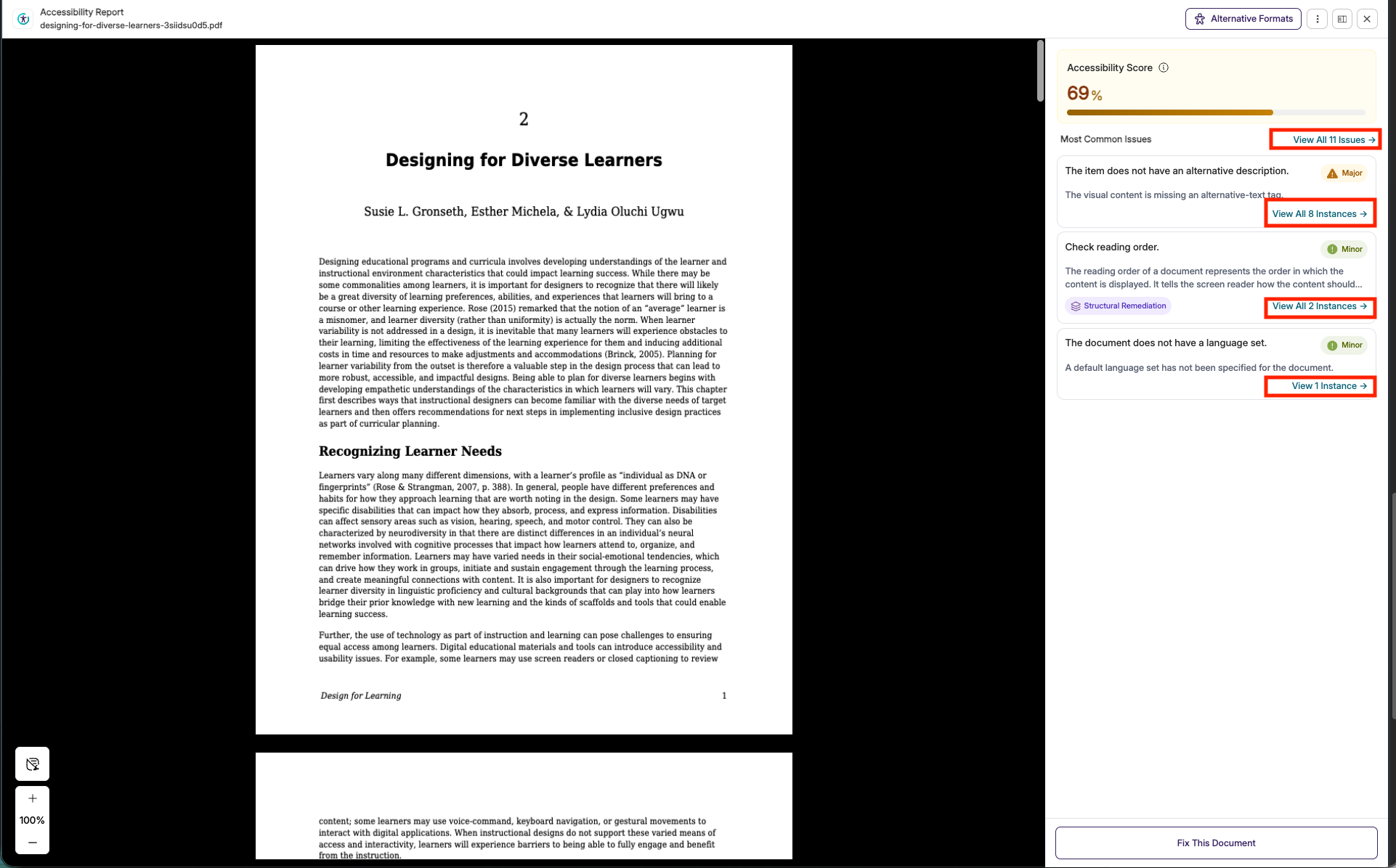 Canvas Accessibility Report for a PDF