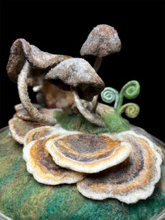 Felted fungus