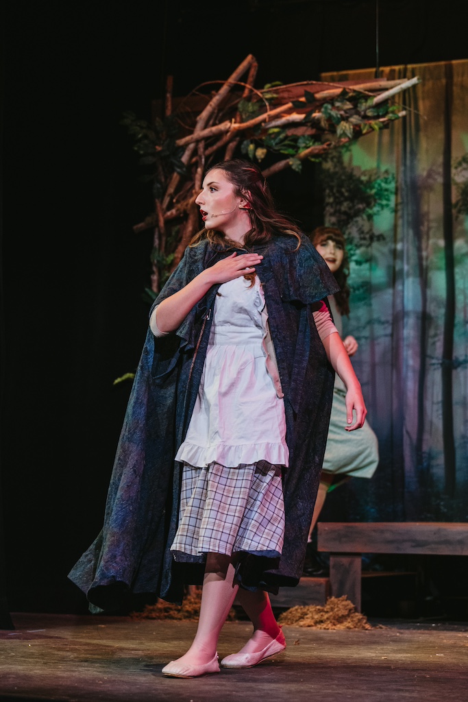 Into the Woods Cinderella entering the woods 