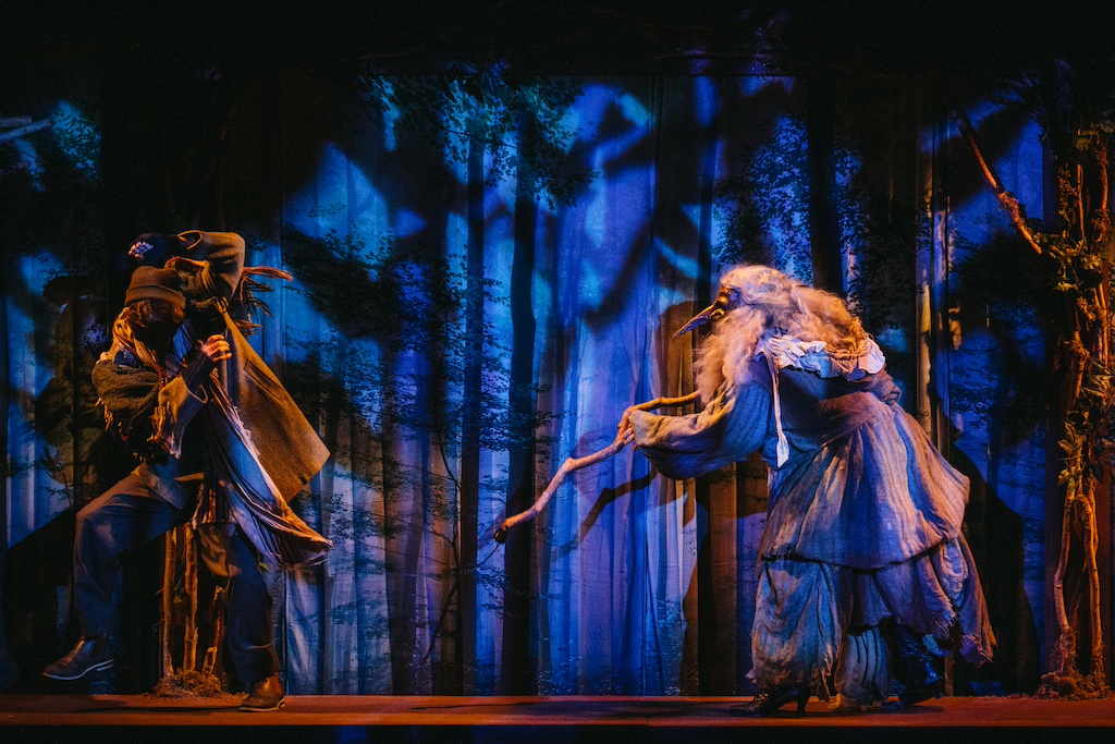 Into The Woods Into The Woods: Mysterious man with the Witch