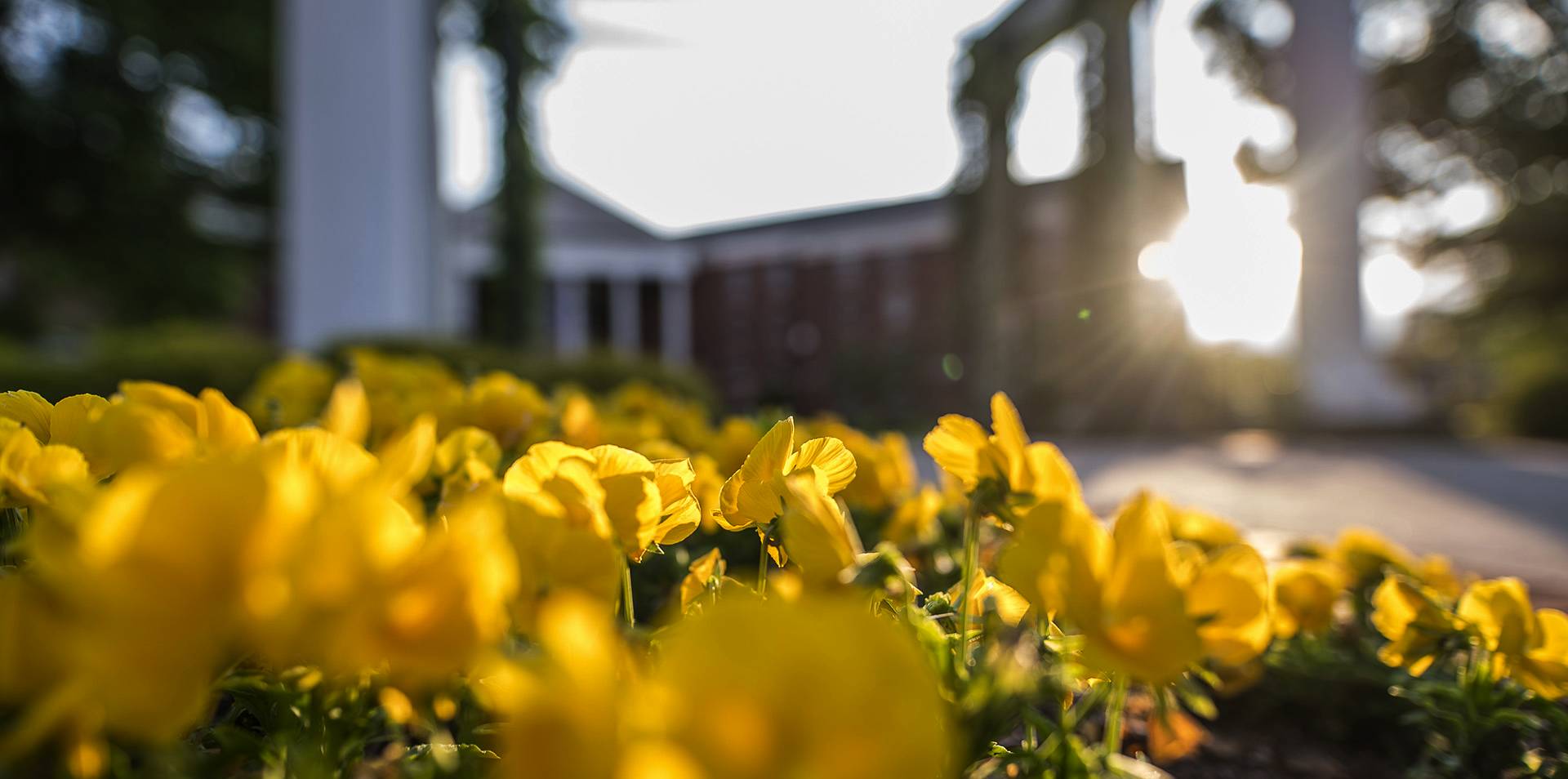 sunrise on campus