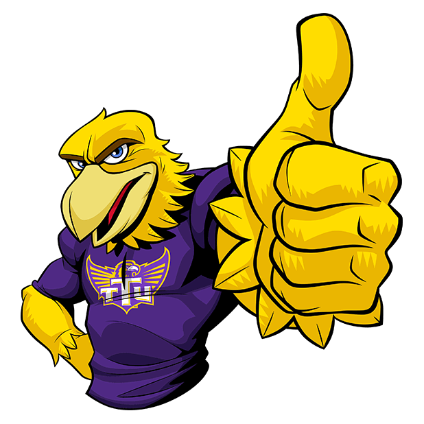 Awesome Eagle Image