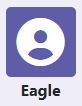 eagle icon