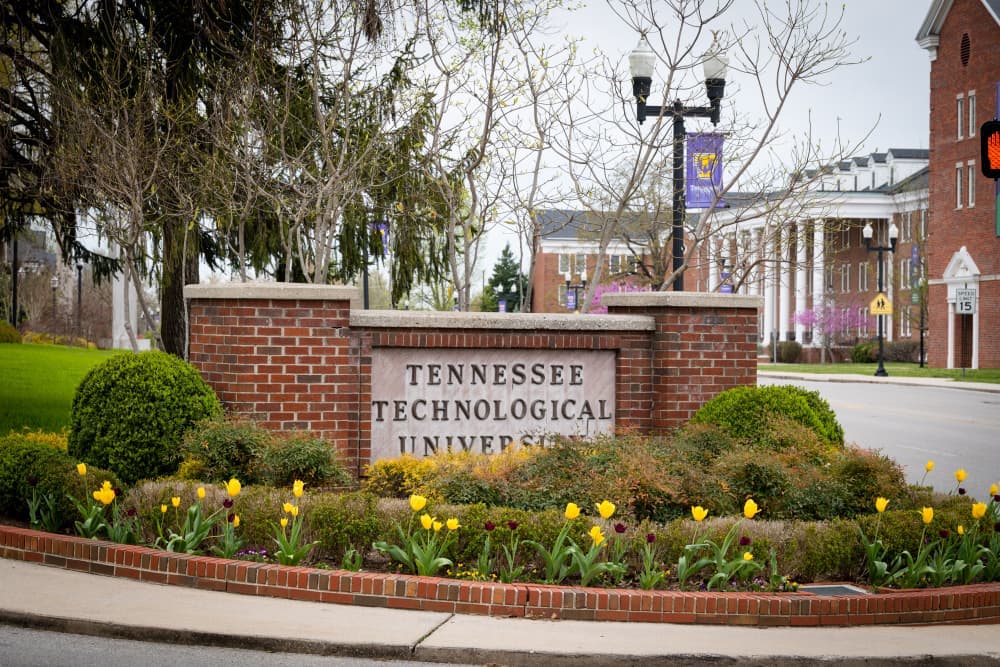 Tech Entrance sign with yellow tulips