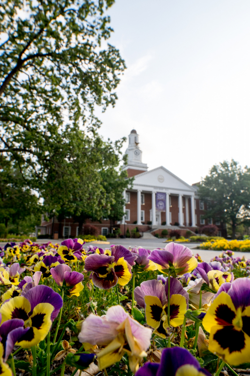 Campus portrait of purple flowers in front of Derryberry.