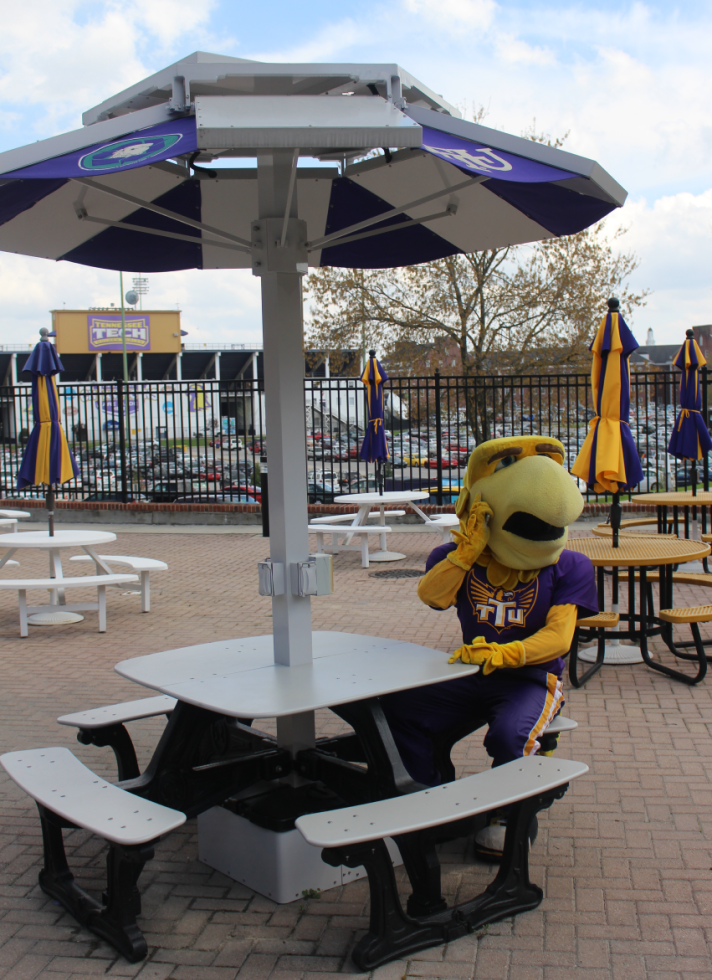 Awesome Eagle sitting at solar charging table on Centennial Plaza