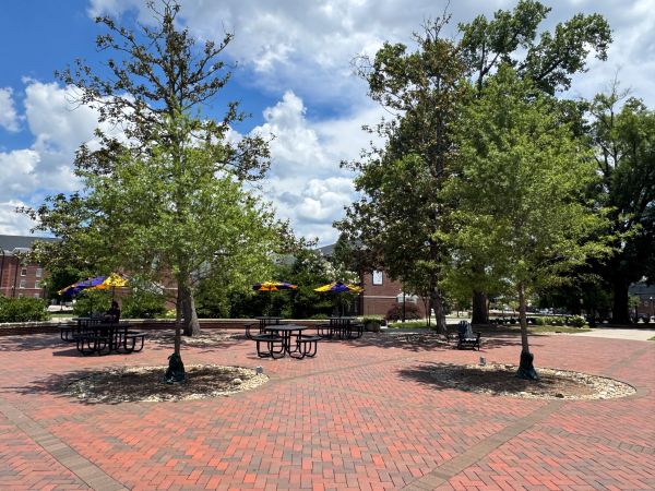 Picture of the umbrellas at Centennial Plaza.