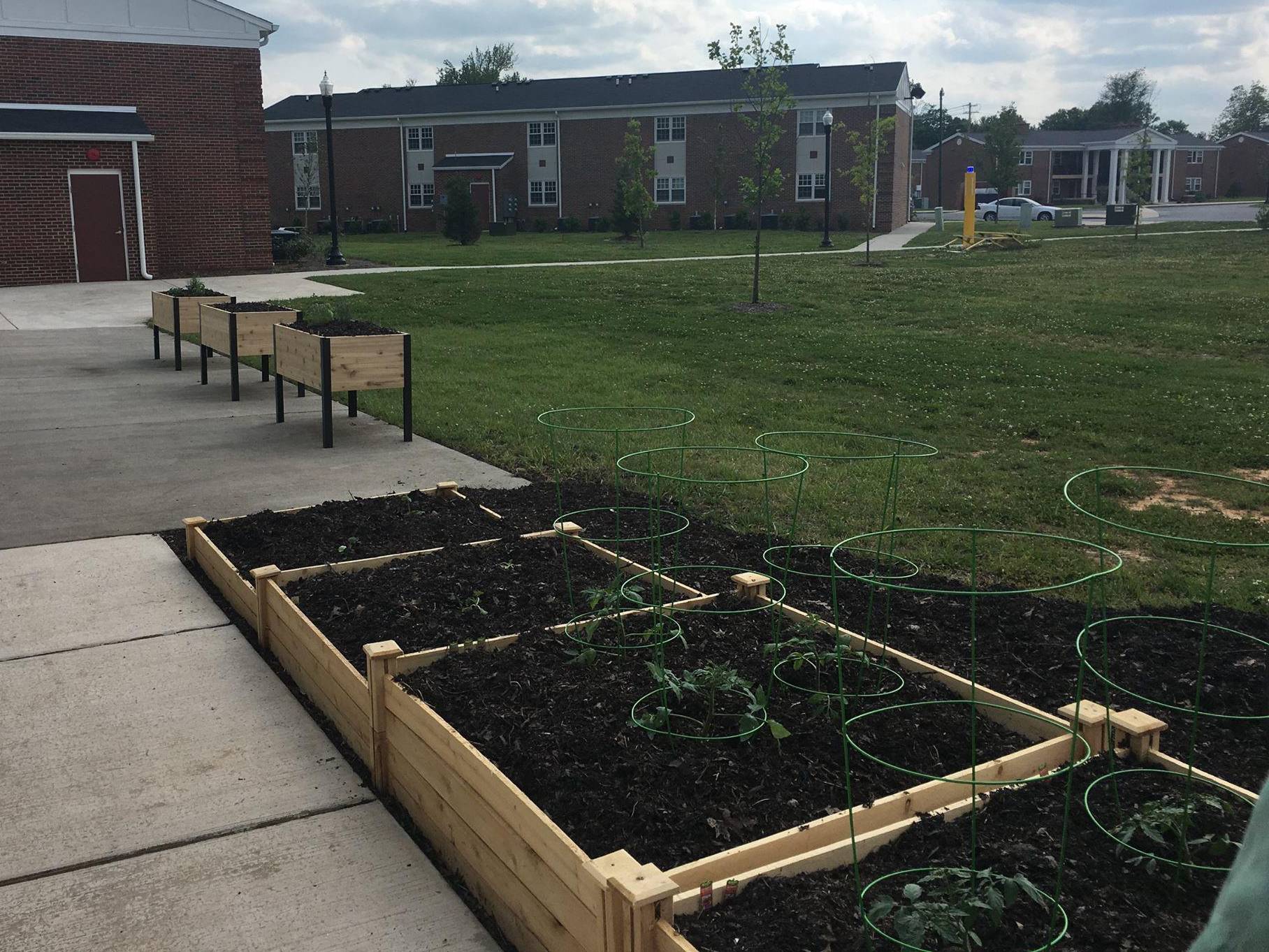 Image of Food Pantry Garden