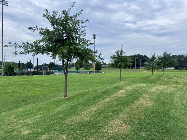 The main field at the intramural fields.