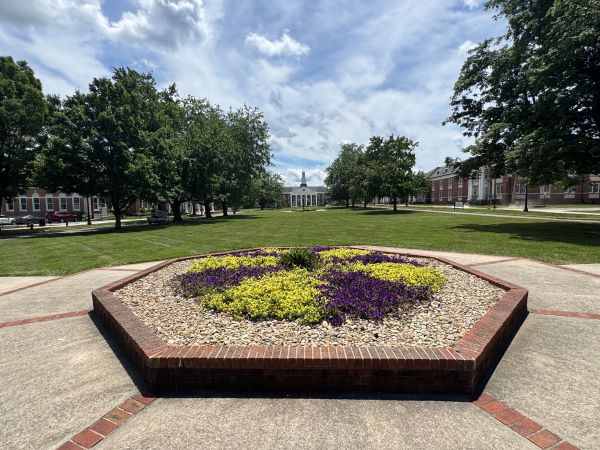 Picture of the Quad facing Bell Hall.