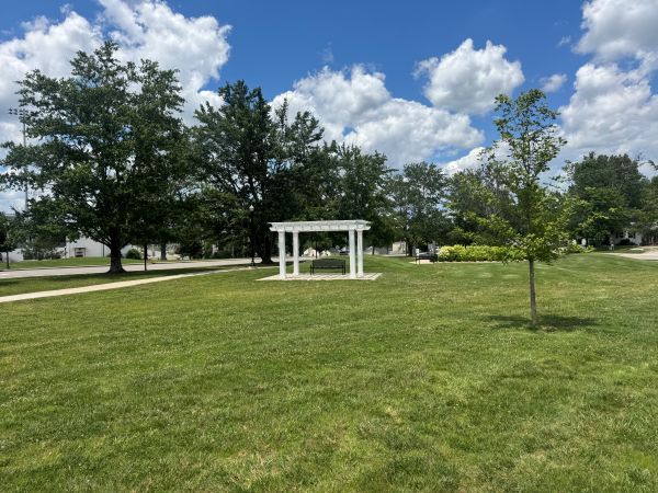 Picture of bench at Walton Park.