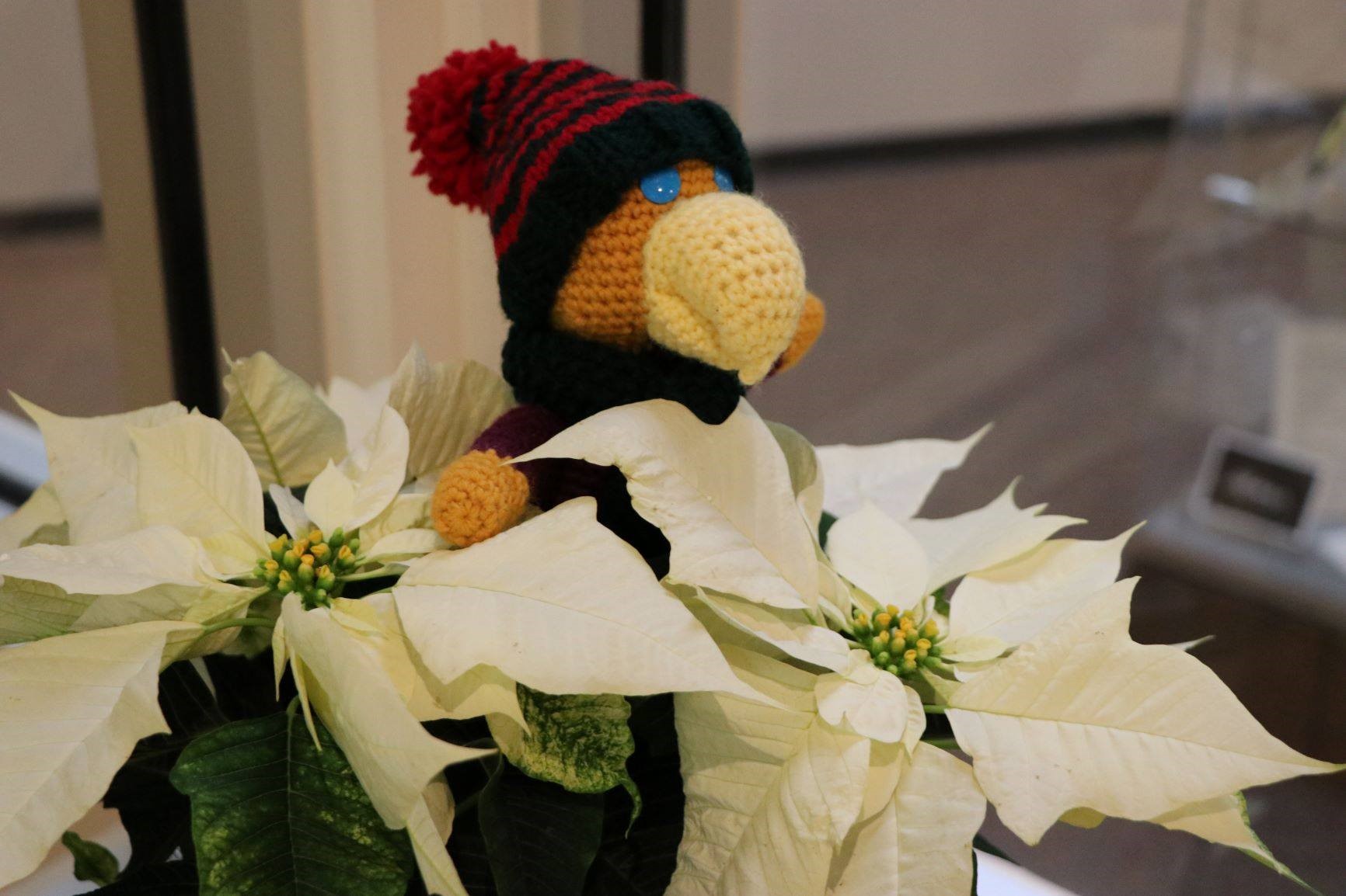 A photo of a small, crocheted Awesome Eagle in a white poinsettia plant.