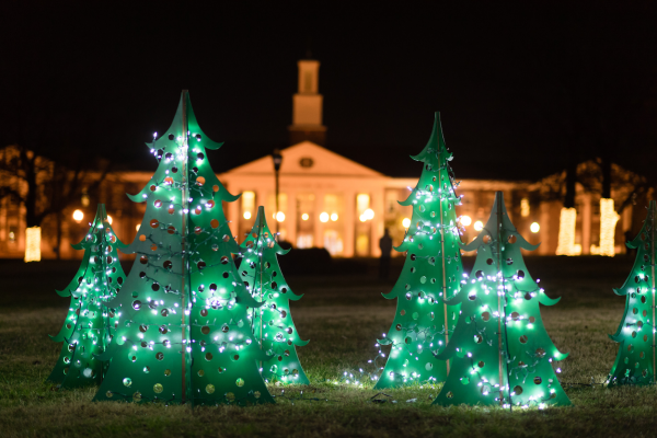 Green Christmas trees with lights. Bell Hall in the background.