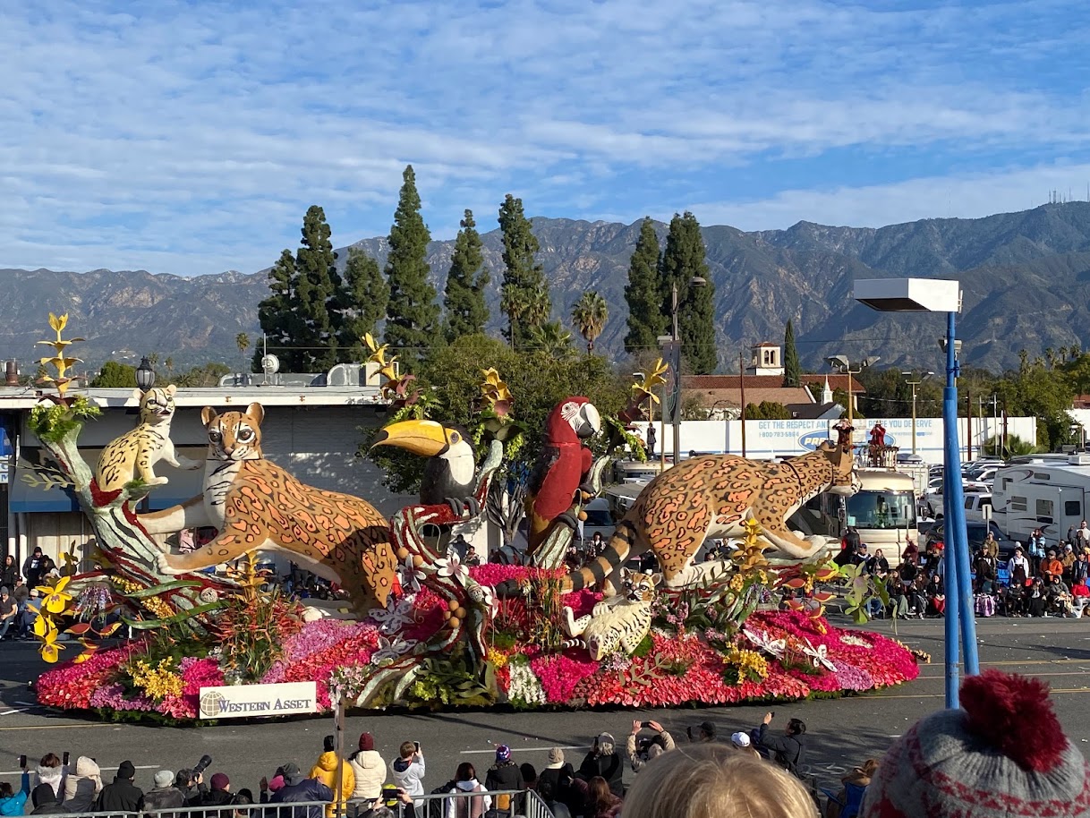 A rose parade float with leopards