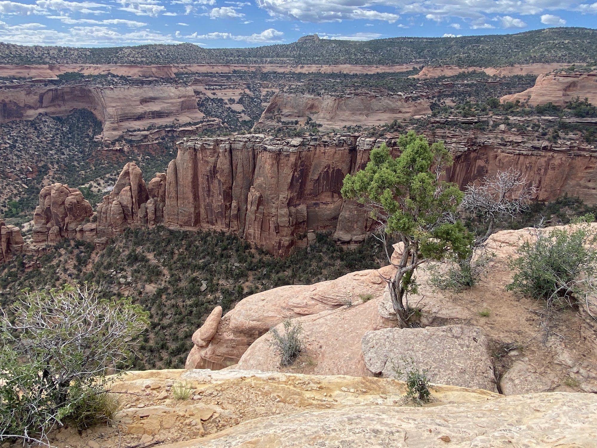 A canyon cut in layered sandstone formations at Colorado National Monument